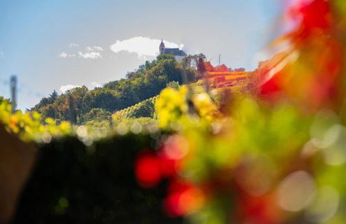 Weingut Gasshof - Foto 56