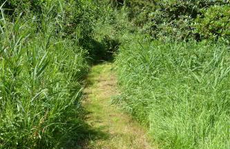 Ferienwohnung Süderfeld - Foto 56