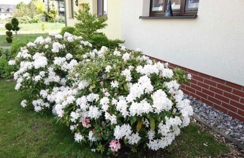 Ferienwohnung "Baum" - Foto 4