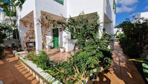 Chelada 2 - Foto 4, Garden