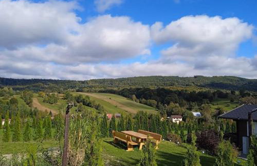 Bieszczadzkie Wzgórze Saunowe- Jacuzzi i Sauna w cenie pobytu - Foto 46