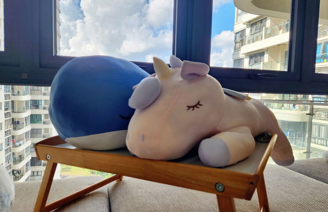 Country Garden Danga Bay by Widebed JB - Foto 24