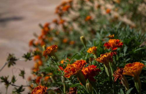 Casa del Sole - Foto 29