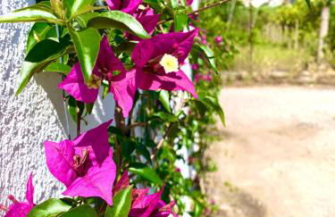 La Casetta - Foto 23