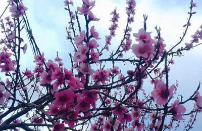 La Galayca - Foto 24