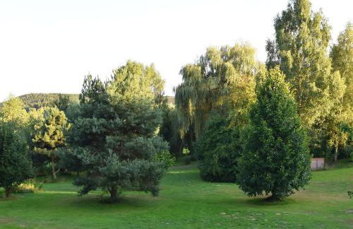 Gemütliche Wohnung in Flussnähe in Regen Bayern - Foto 30