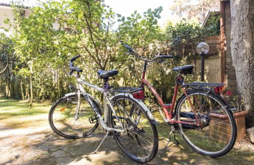 Holiday Home La casina nel bosco by Interhome - Foto 13