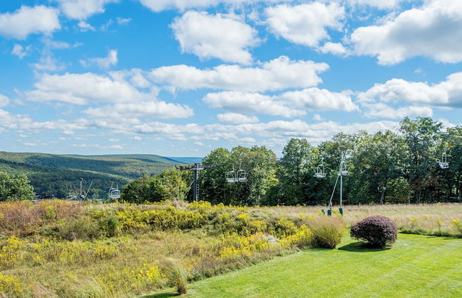 Wispy Business - Foto 3