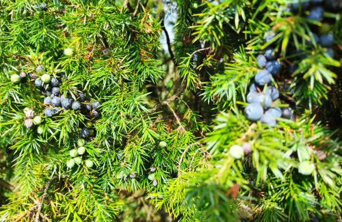 Mamat Ferienwohnungen - Foto 23