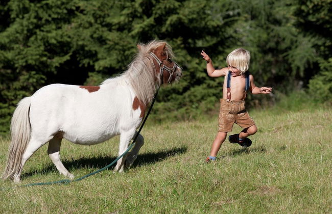 Apartment in Katschberg Near Ski Slopes - Photo 24