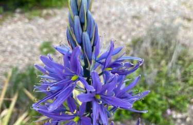 The Hideaway at Peacock Farm - Photo 24