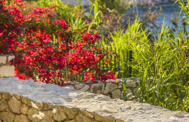 Assos Chromata Villas - Photo 24