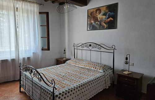 Bilocale indipendente a 10' da Pisa - Foto 17