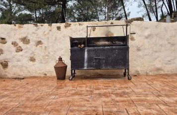 Cortijo Castillo de peñafleita - Foto 43