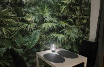 Jungle studio - Foto 6