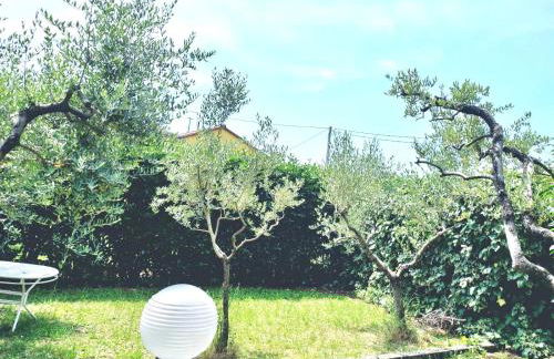 La Casa dell'Olivo - Foto 26