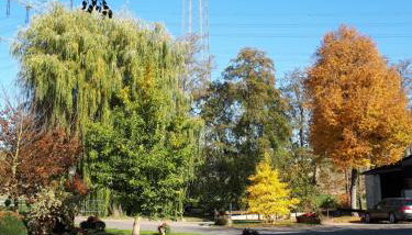 Ferienhof Papiermühle - Foto 5, Garden view