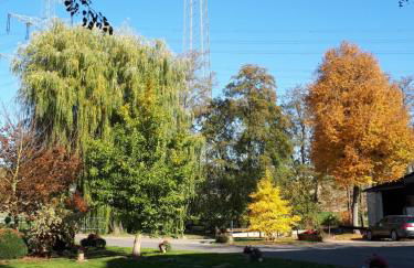 Ferienhof Papiermühle - Foto 5