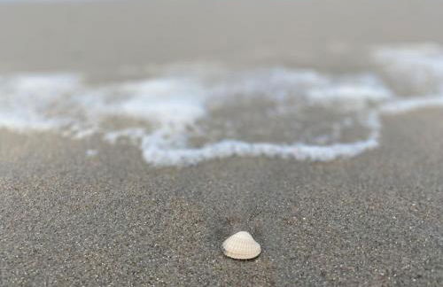 Ferienhaus Ella am See - Foto 22