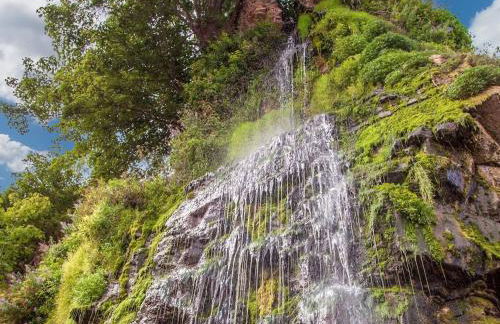 Number 110 - Photo 27