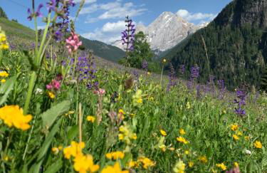 Chalet Pian - Foto 3