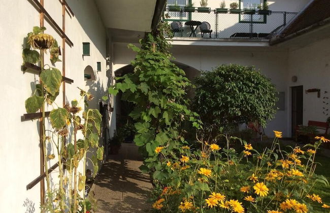 Ferienwohnung ALEX - Foto 23