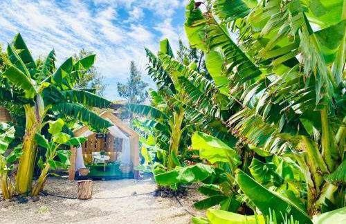 Arrebol Suite con Jacuzzi, piscina y naturaleza - Foto 41