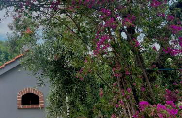 Villa Rita - Foto 16