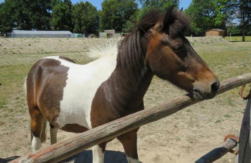Chalet Les P'tites Maisons dans la Prairie - Foto 44