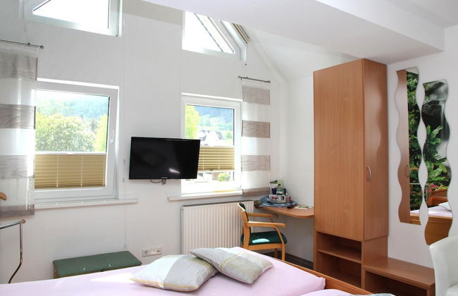 Pension & Ferienwohnung Schweinsberg - Foto 10
