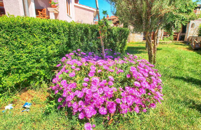 Apartment 316 - Foto 51