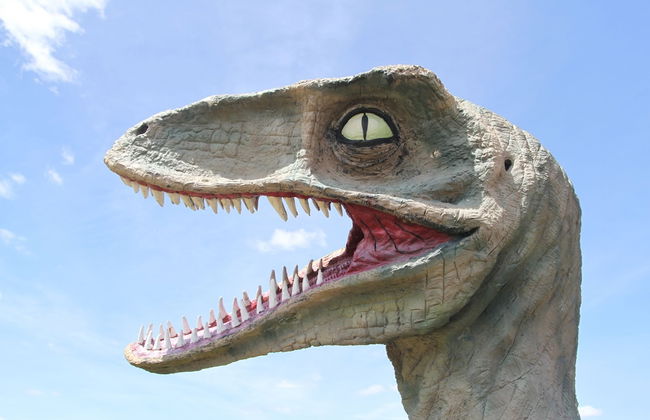 Chale Bay Farm - Photo 28