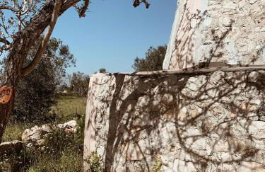 Trullo Contrada Specchi - Foto 13