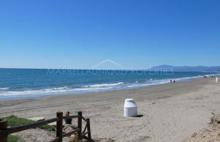 Estrelicia - Photo 39