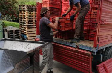 La Giribaldina Winery & Farmhouse - Foto 31