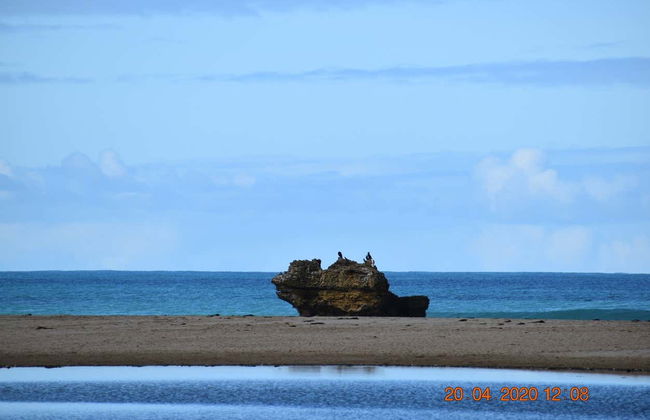 Excursion sur la Great Ocean Road - Photo 6