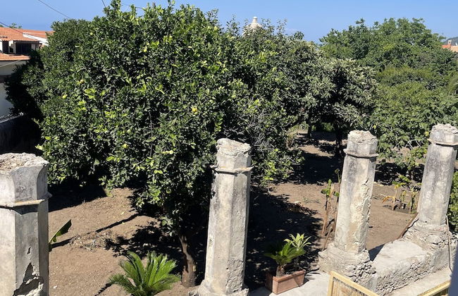 Tenuta La Torre - Foto 21