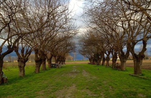 Corte Mainolda - Foto 87