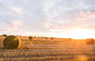 Ferienhaus am Pferdehof - Photo 26
