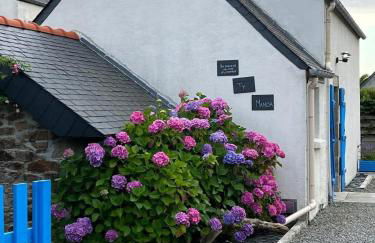 TY MANOA - Jolie maison a 50m de la mer - Foto 13