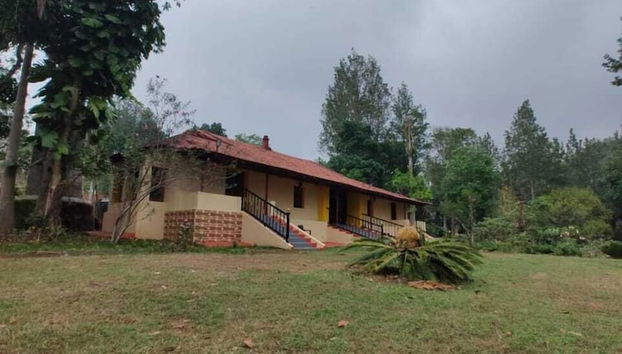 Paseos en raquetas de nieve