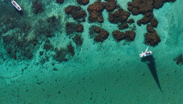 Vista aérea de Porto de Galinhas