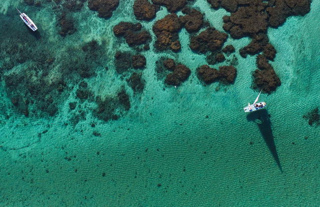 Escursione a Porto de Galinhas - Foto 2