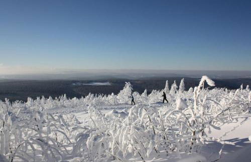 Nichtraucher Fewo Ebert&Green - Foto 23