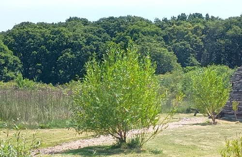 Cosy Cabins at Westfield Farm, Isle of Wight - Photo 18