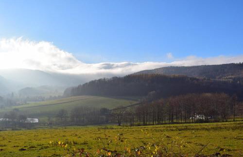 Domek Chmielnik - Foto 11