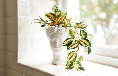 Stylish Clifton Flat, Permit Parking x1, Garden & Picnic Area - Foto 25