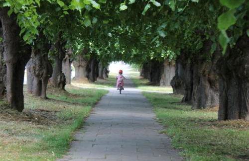 Bungalow in Neubukow mit Terrasse und Garten - Foto 70