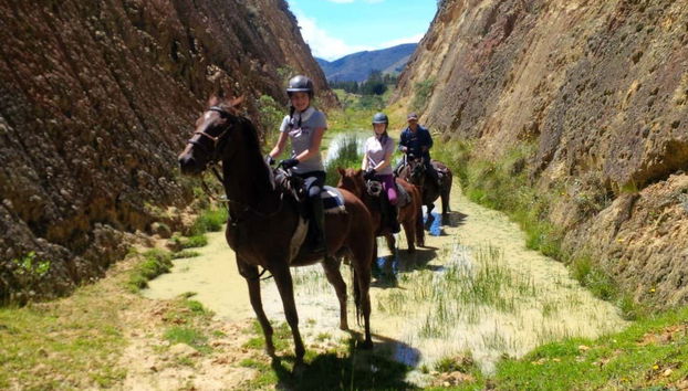 Preparados para a rota