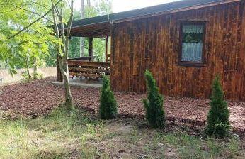 Zielenina Leśny Domek - Foto 19